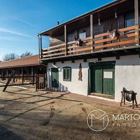 Ezuestkengyel Apartment Piliscsaba
