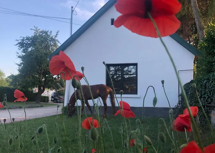 Apartament Ezuestkengyel